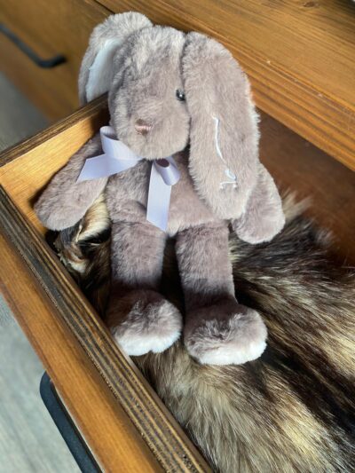First Soft Rabbit - Image 3